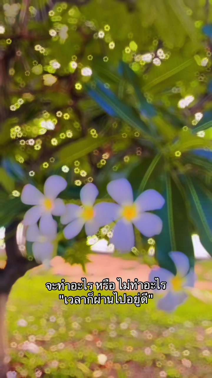 @นุ้บนิ้บ อยากเป็นเกย์ ⏾⋆.˚