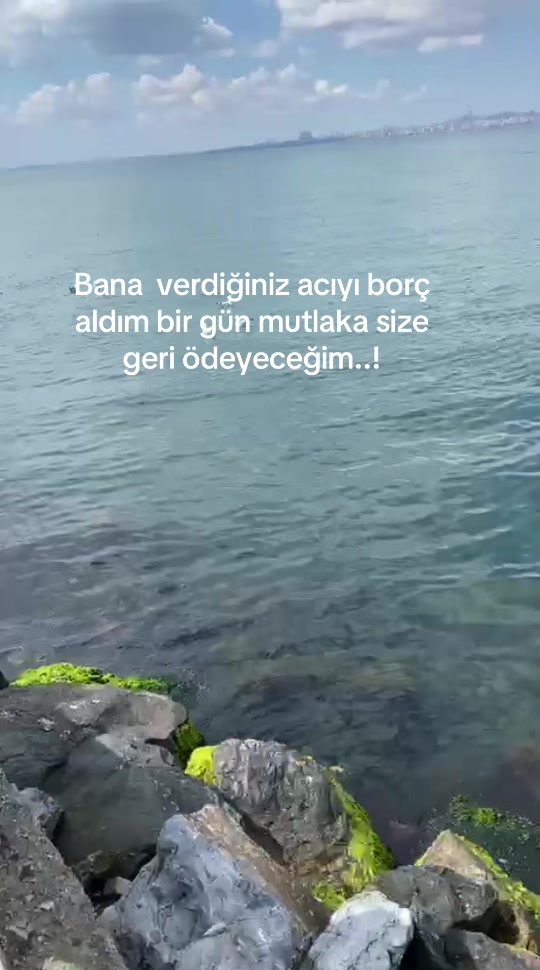 @Ez-axinn-62-🪽🕊️