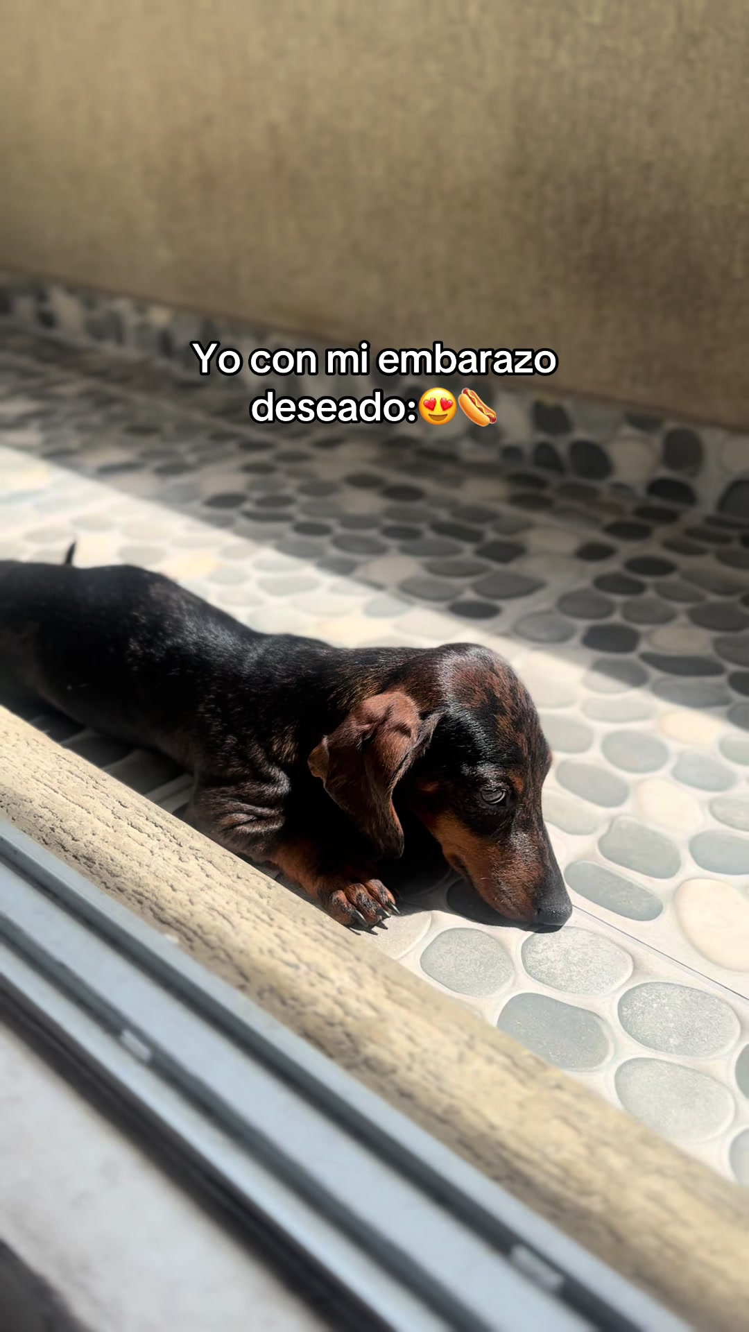 @Laura Patiño🧸💫ᴰᴹ