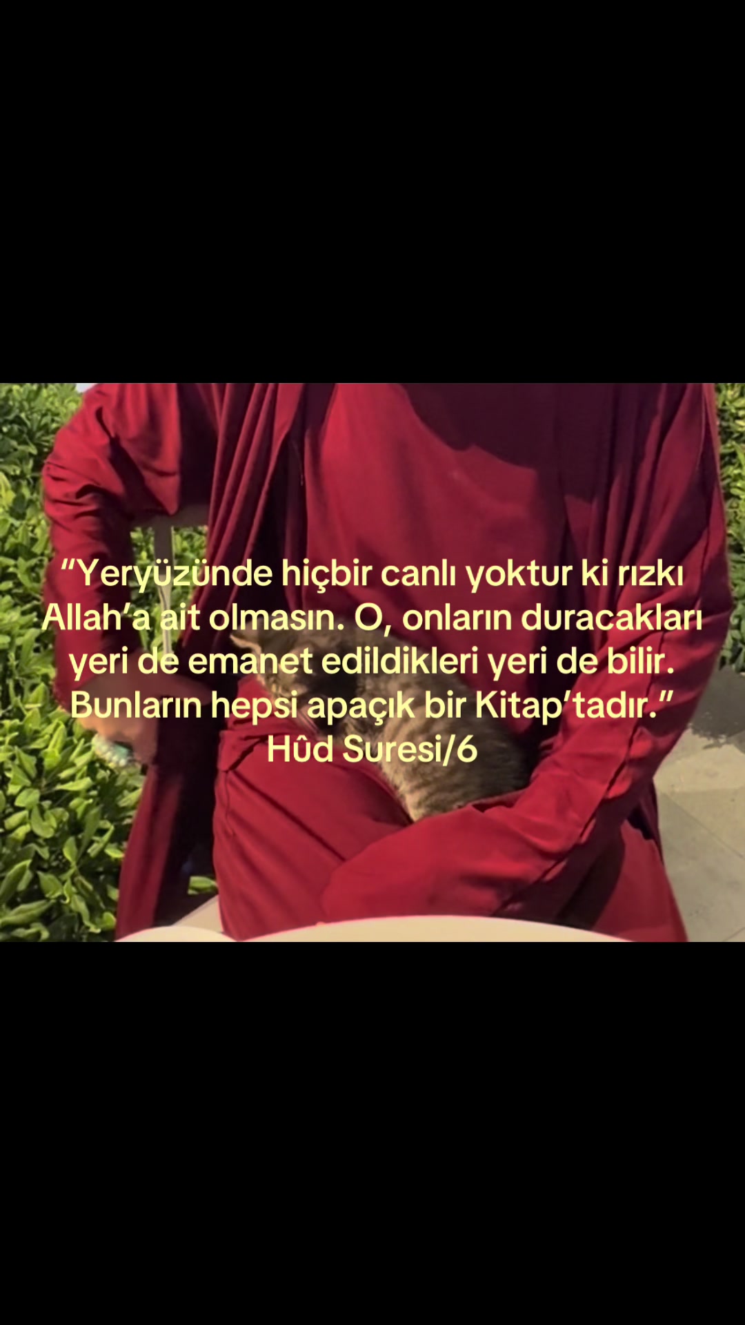 @ℐ̇𝓇ℯ𝓂𐙚˚⋆.ೃ࿔*:･