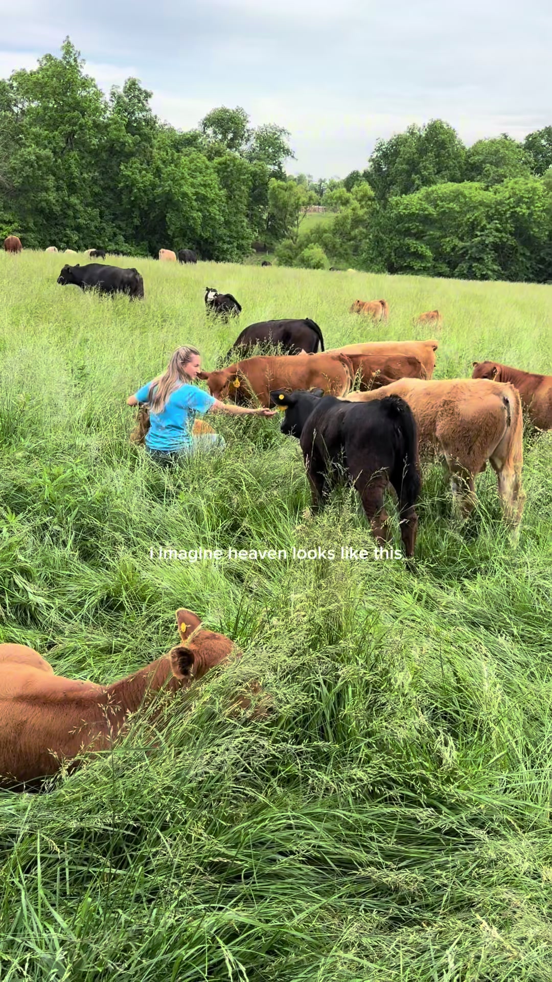 @kl2farms