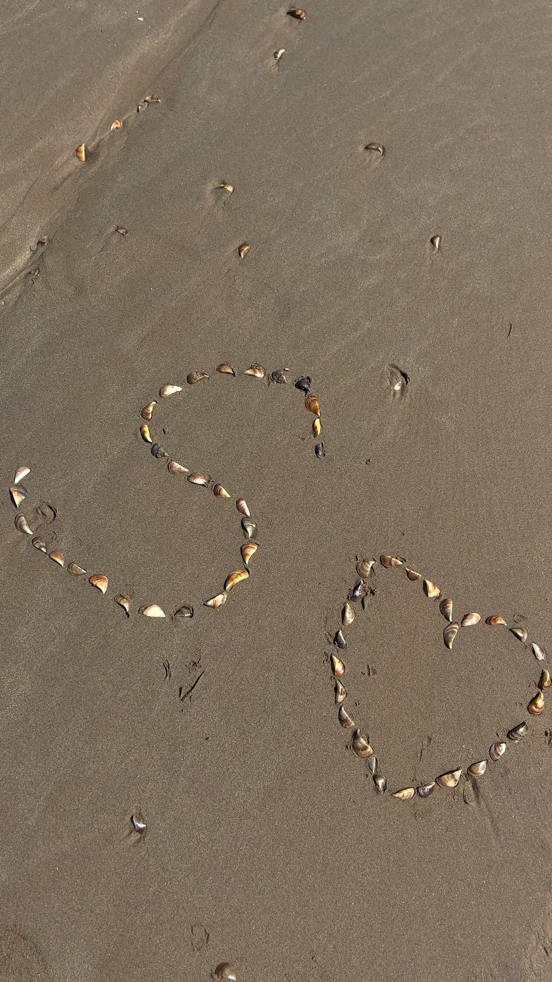 @🌙 𝒮𝒶𝒽𝒾𝓁𝑒