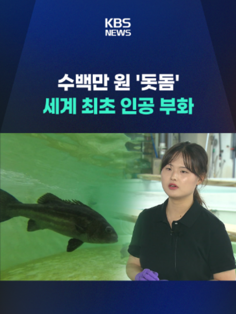 @KBSNEWS