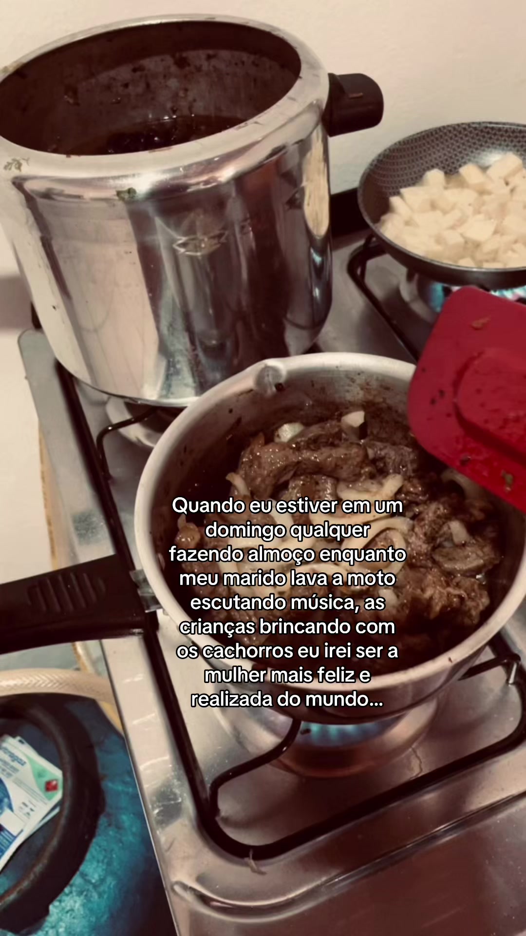 @Sarinha Lima