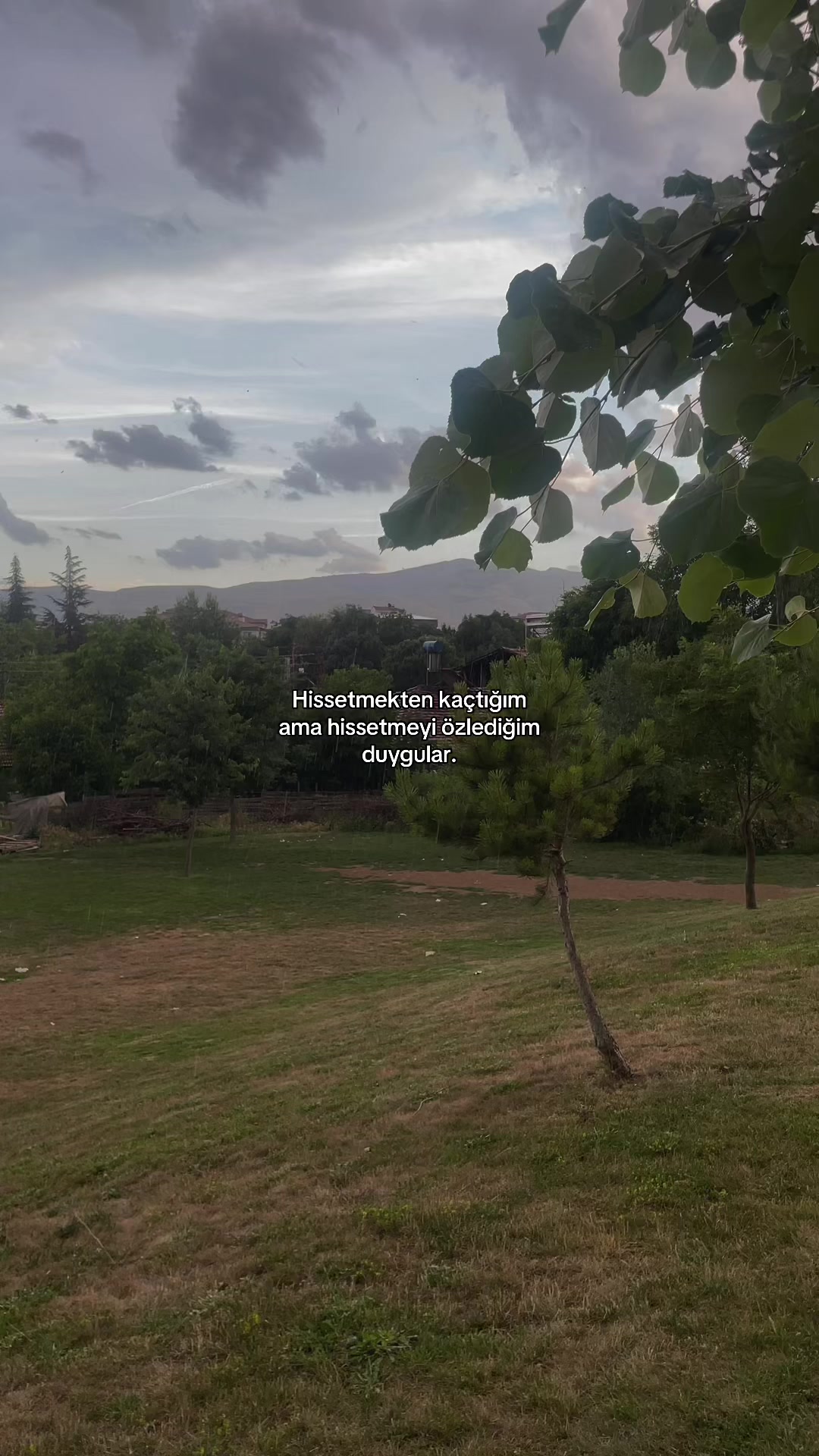 @𝐀𝐲𝐬𝐬
