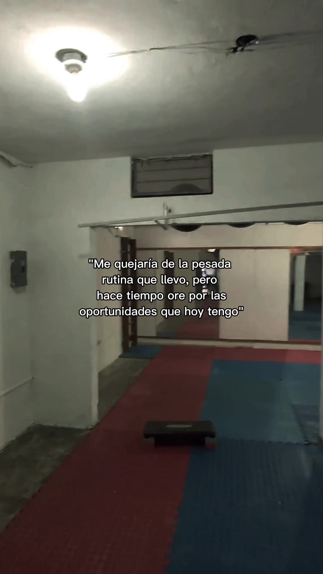 @taekwondolionsteam