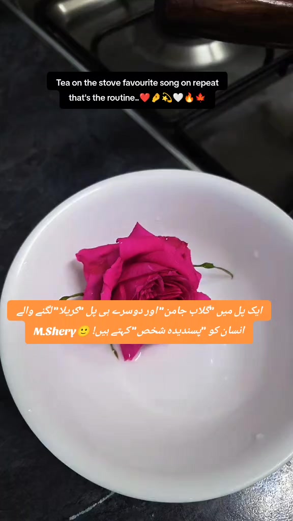 @Shery46