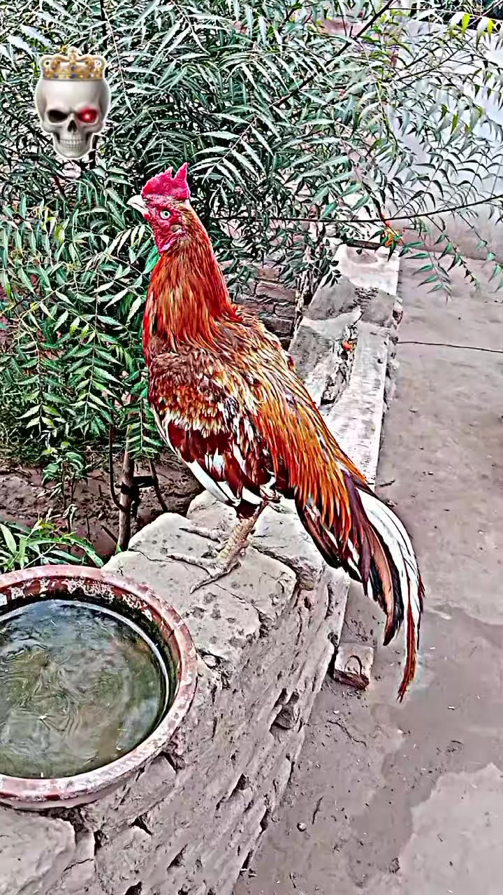 @RaoMudassir