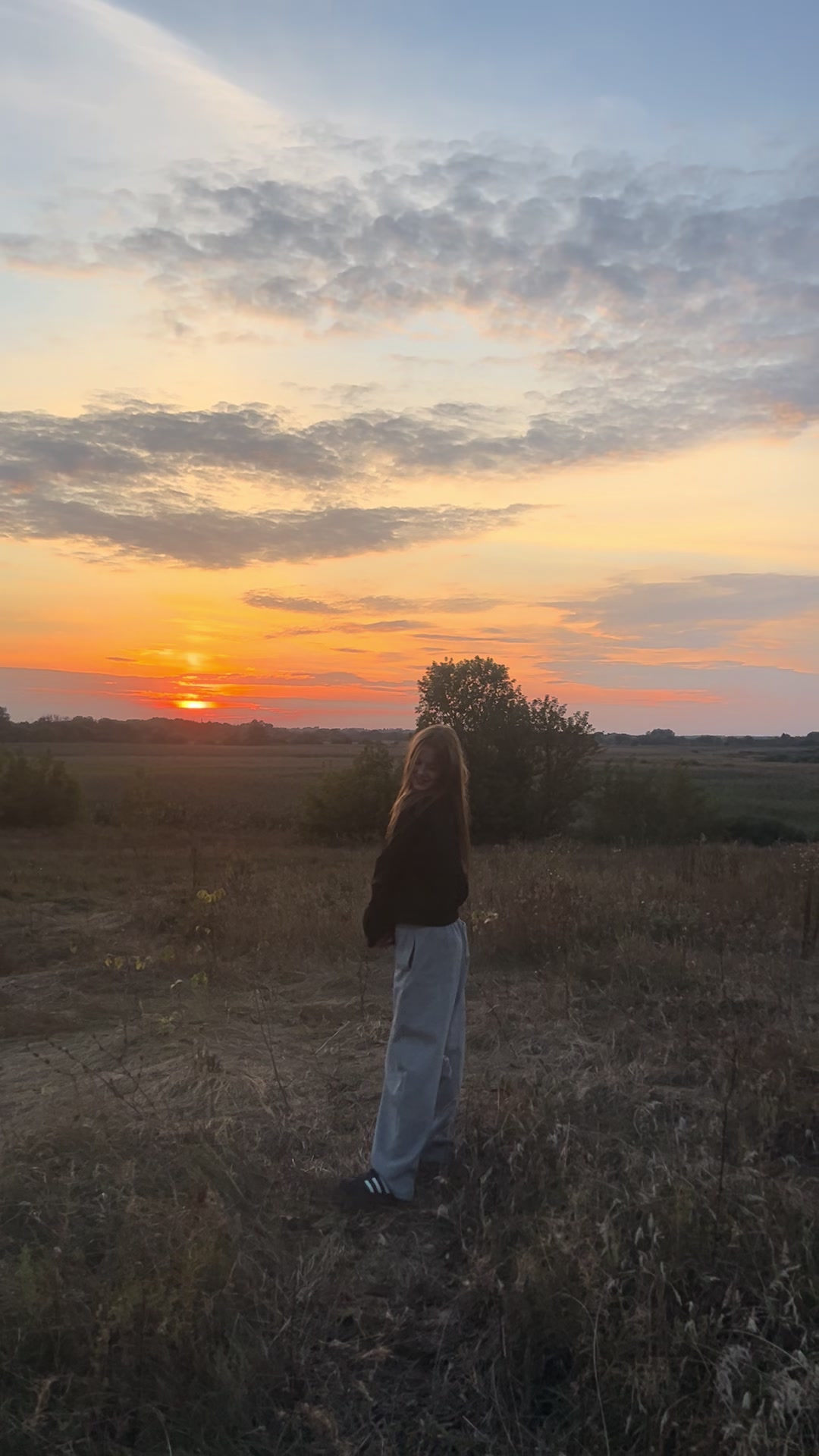 @сафари
