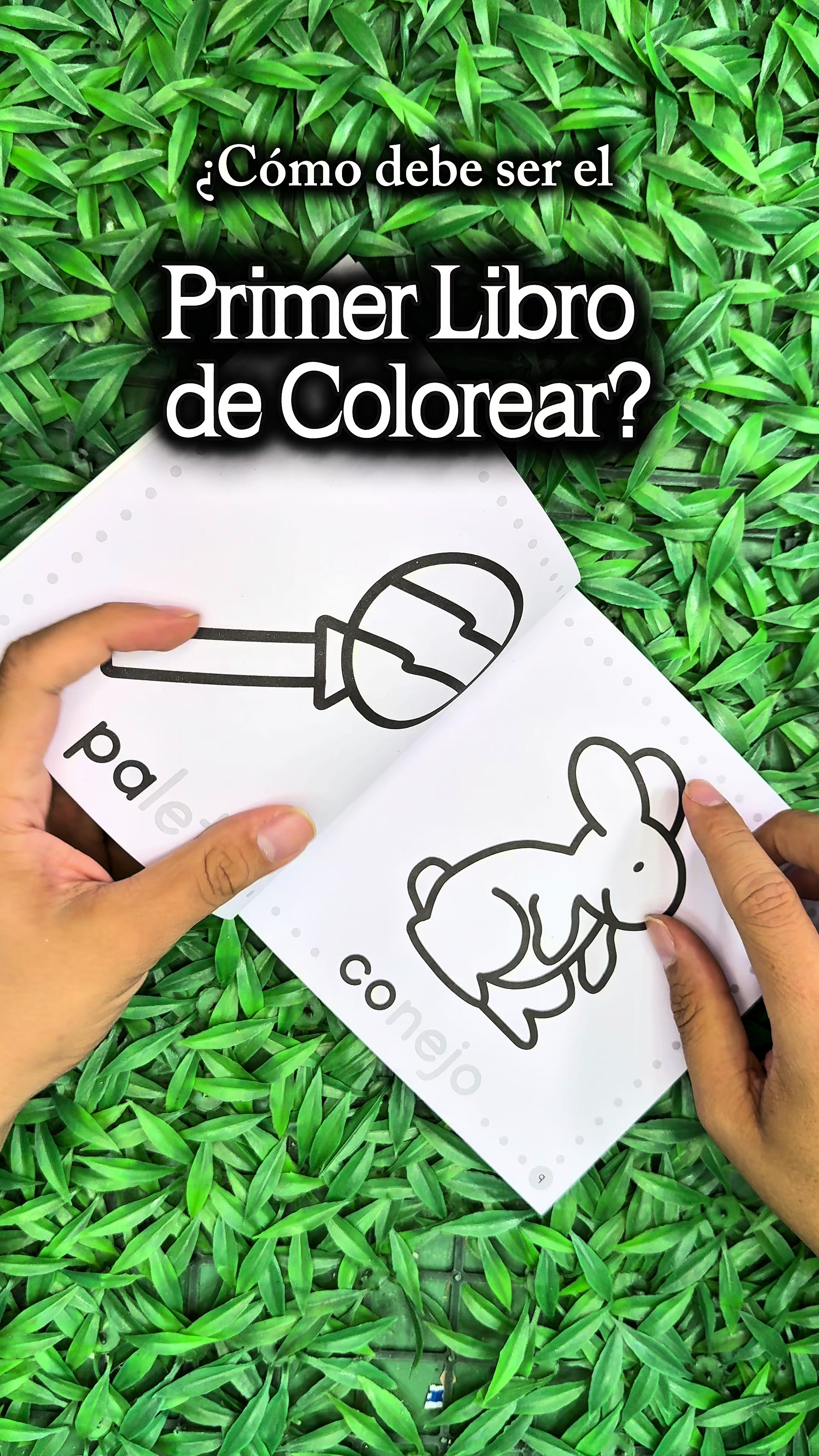 @LIBELULAMX