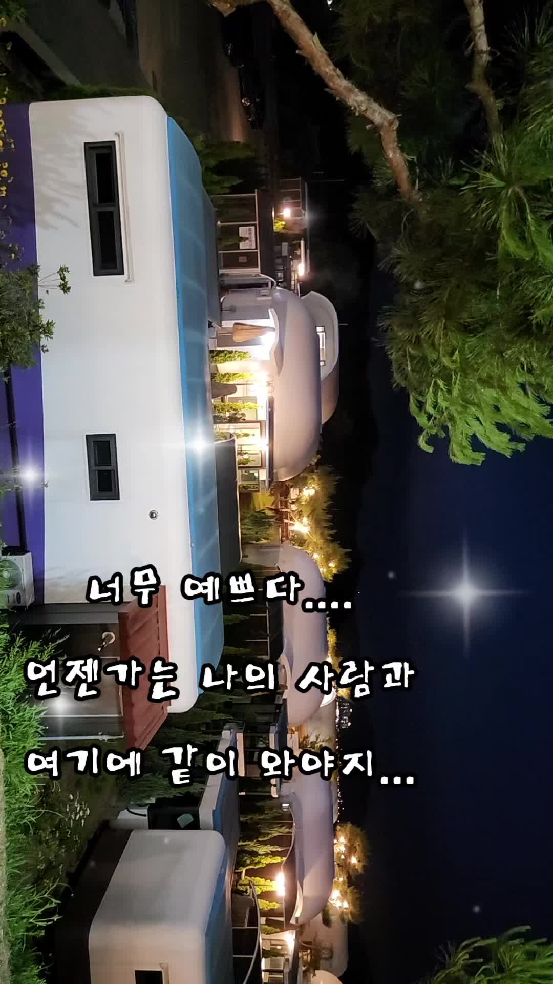 @김 새로이