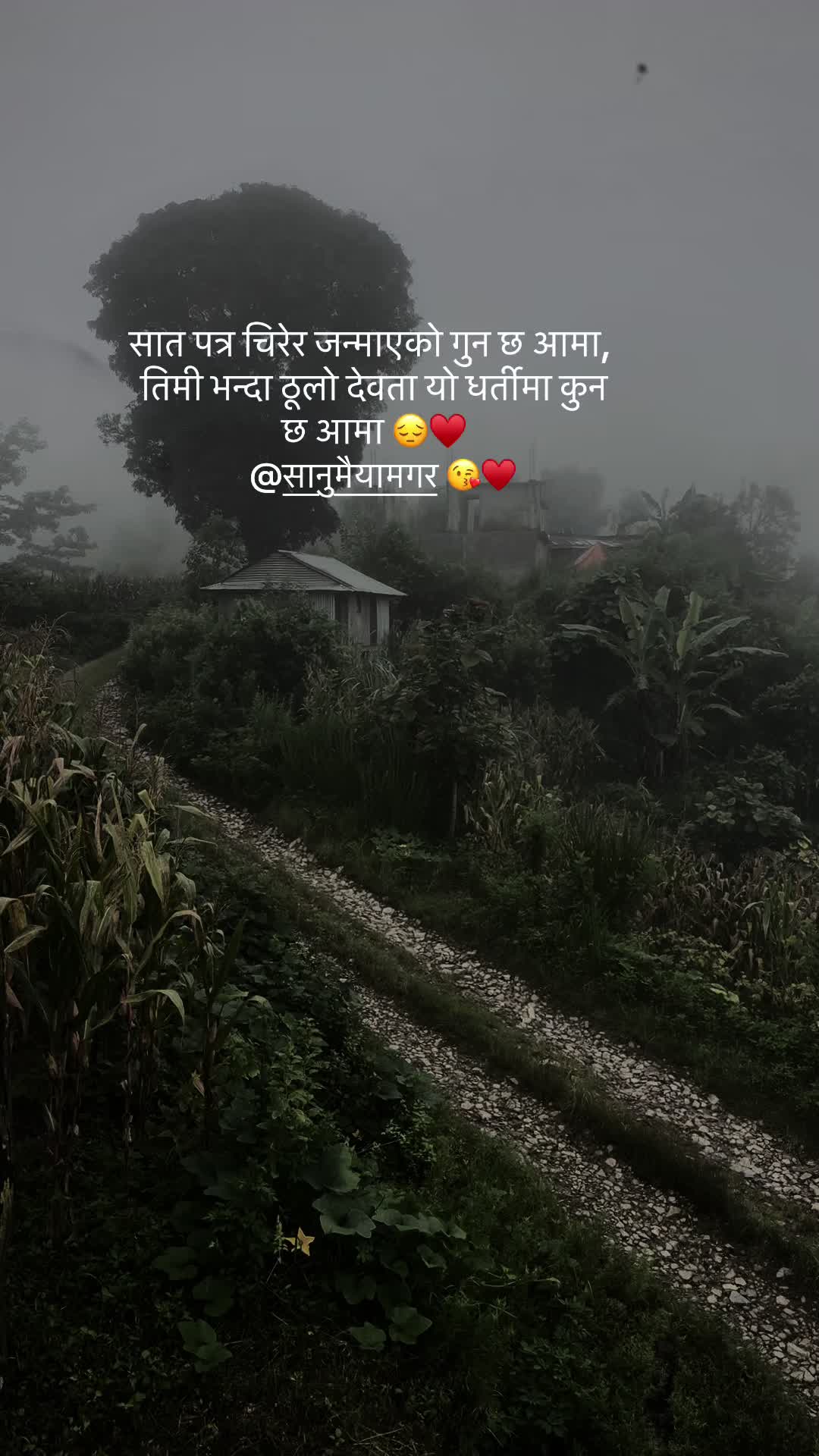 @मिनु लामिछाने मगर💫