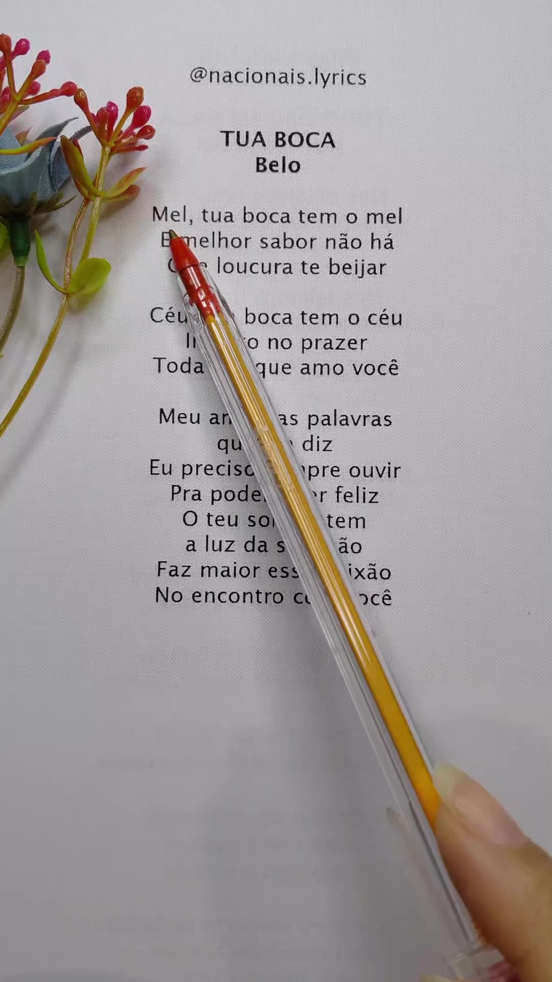 @nacionais lyrics