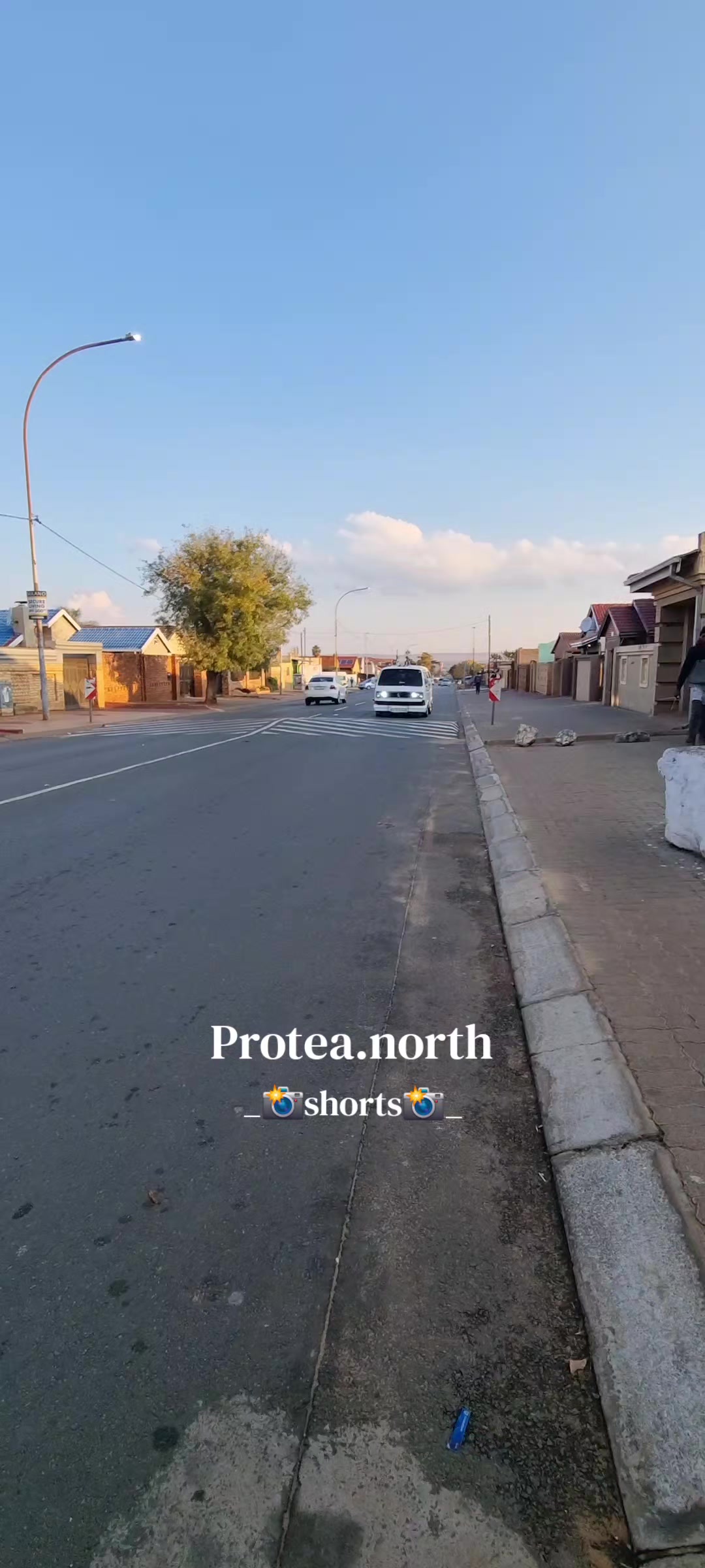 @Protea.north_shorts_
