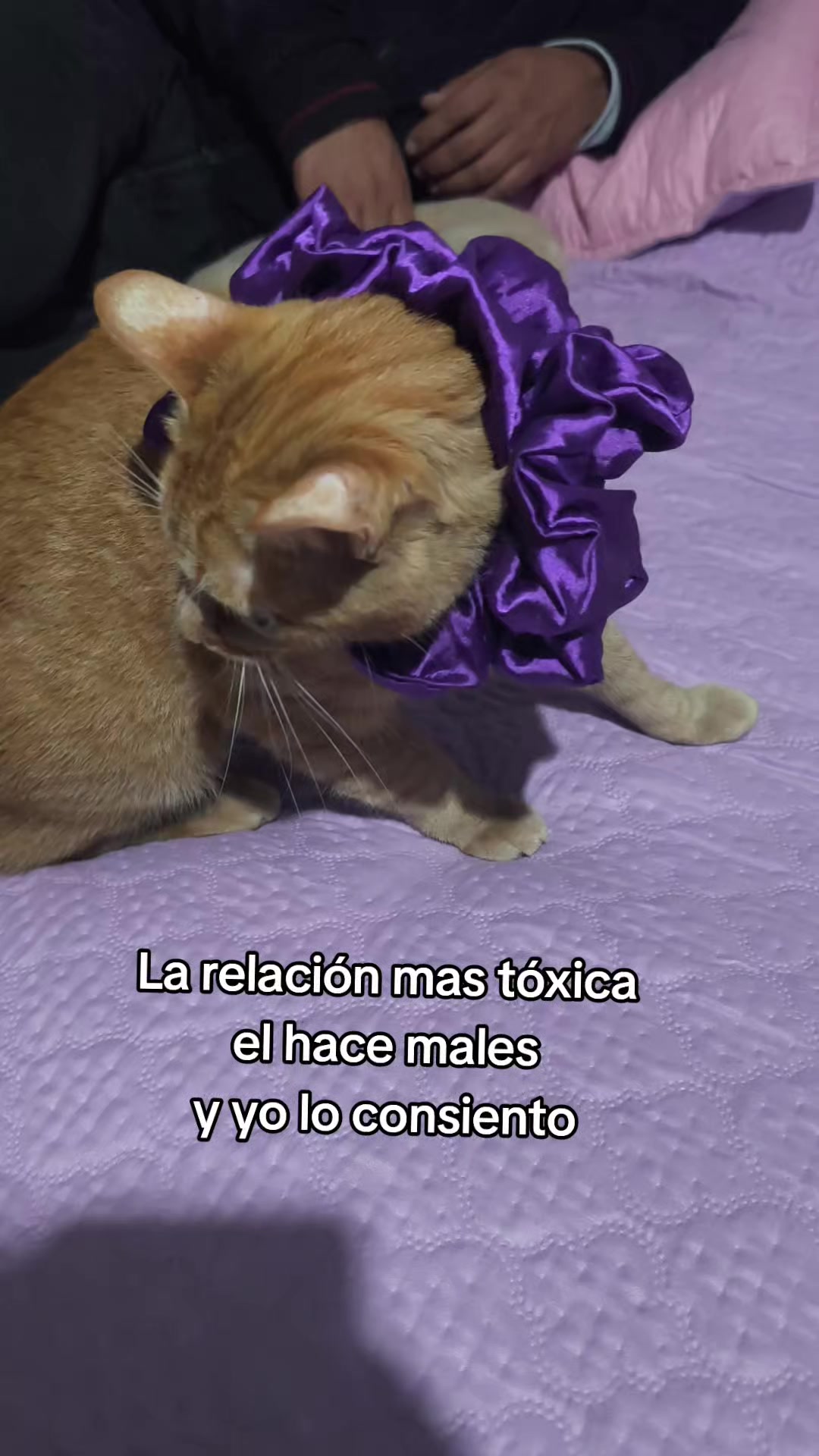 @Divergente