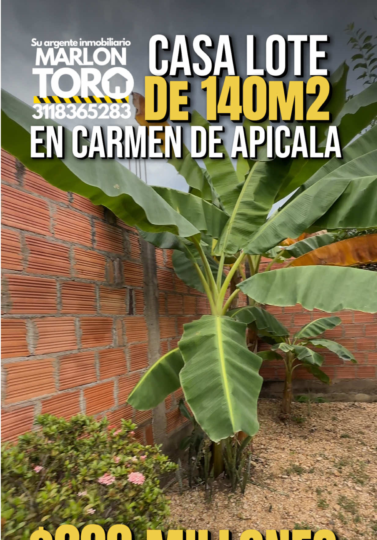@Marlon Toro | bienes raíces