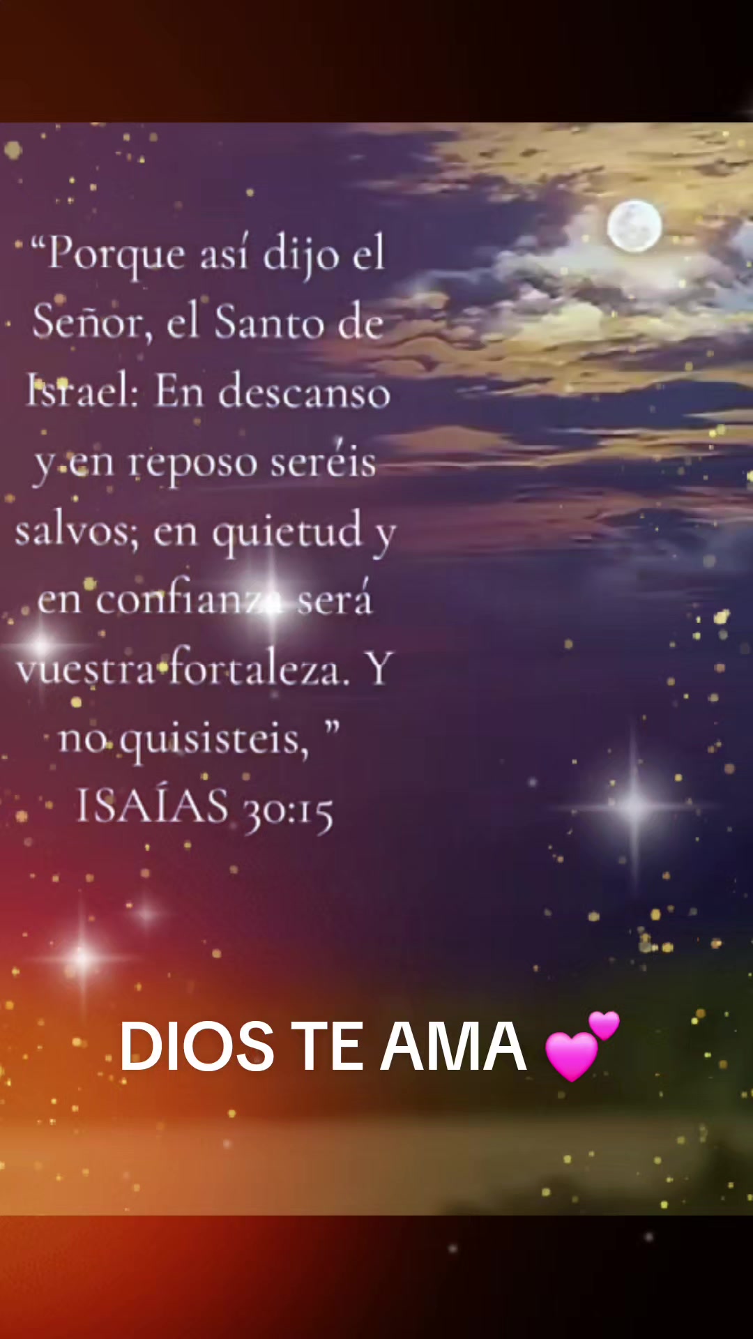 @orlandosanchez613