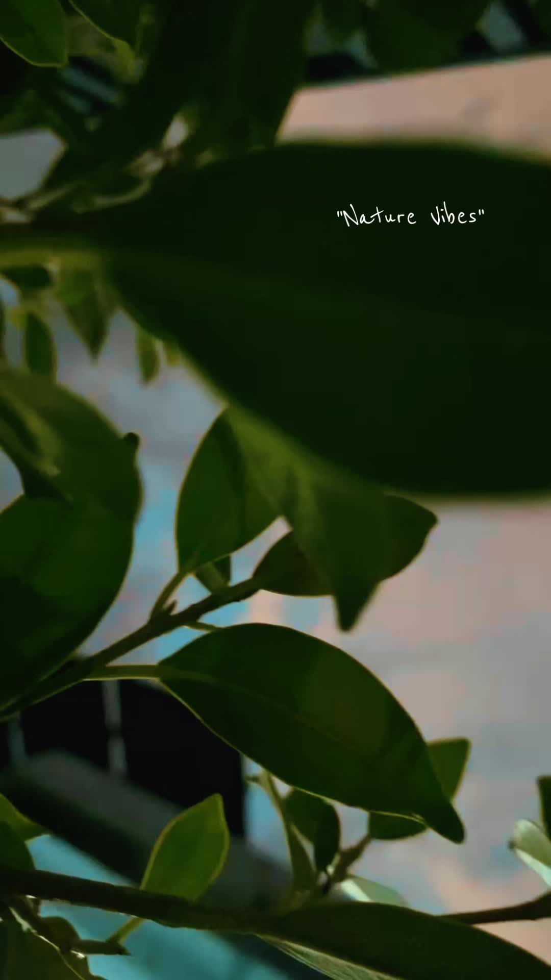 @Doll..♥๏ธ๐ฆข