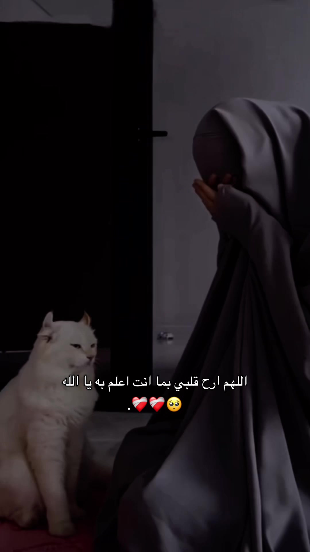 @وتـيـن..❤️🩹