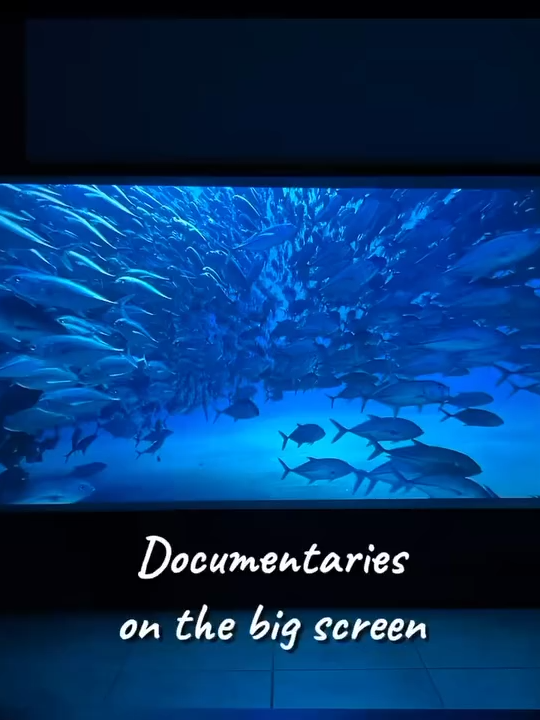 @Hidden home cinema idea