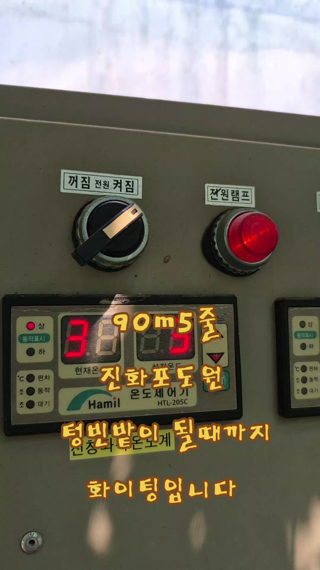 @진화포도원