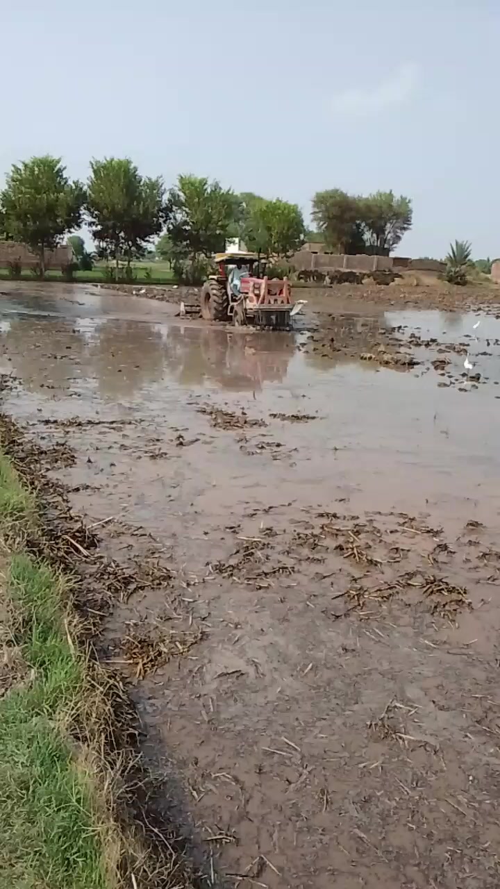 @jani oy