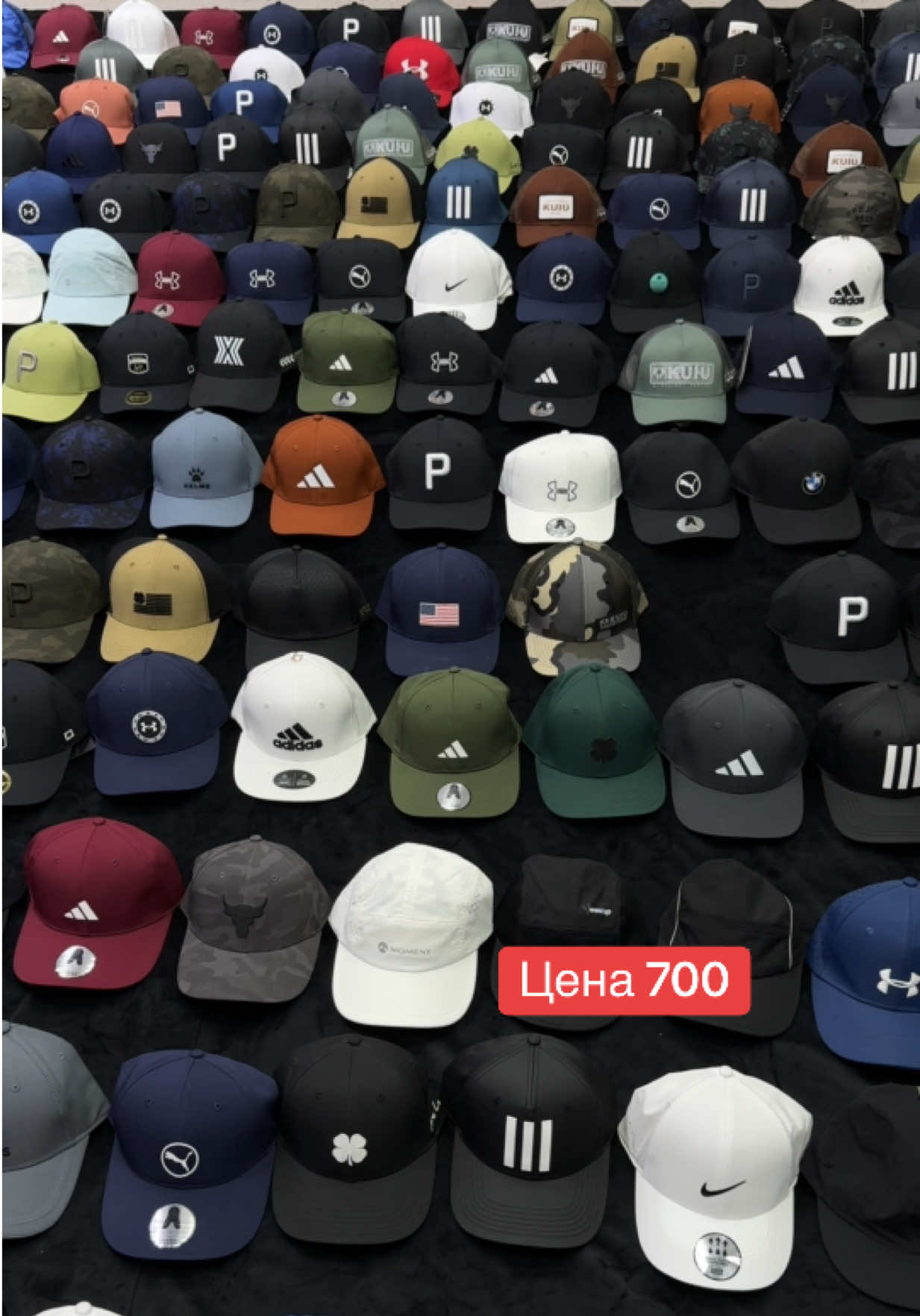 @syimyk.shopkg