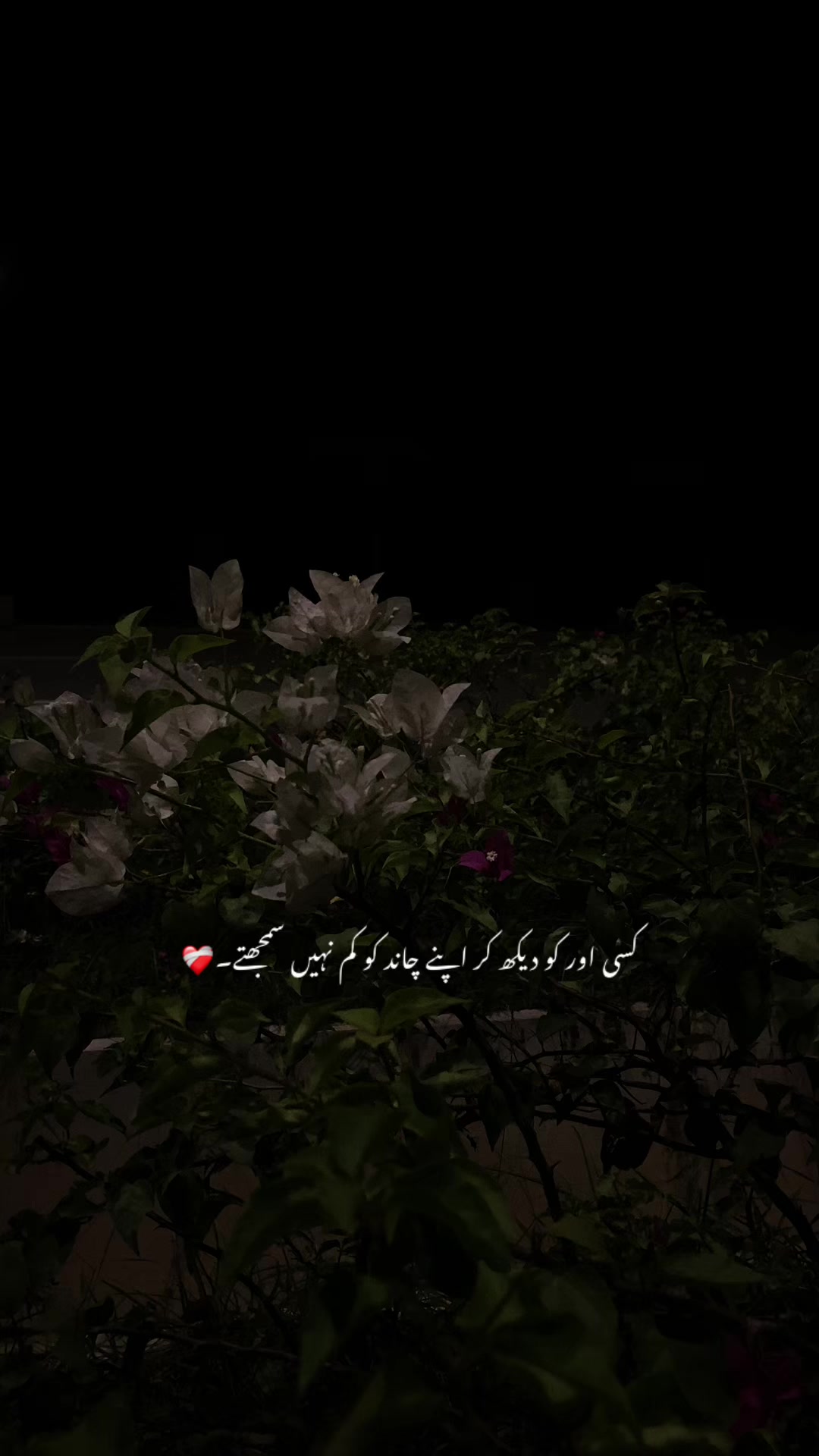 @ع🩹❤️🩹