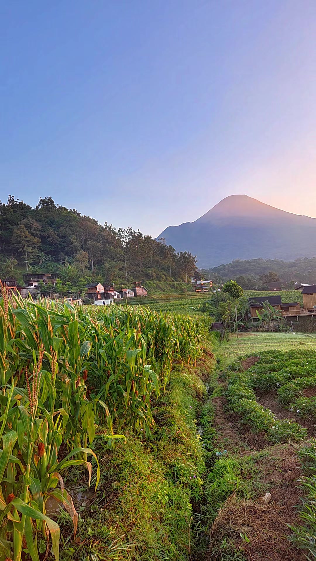 @Slow living Trawas