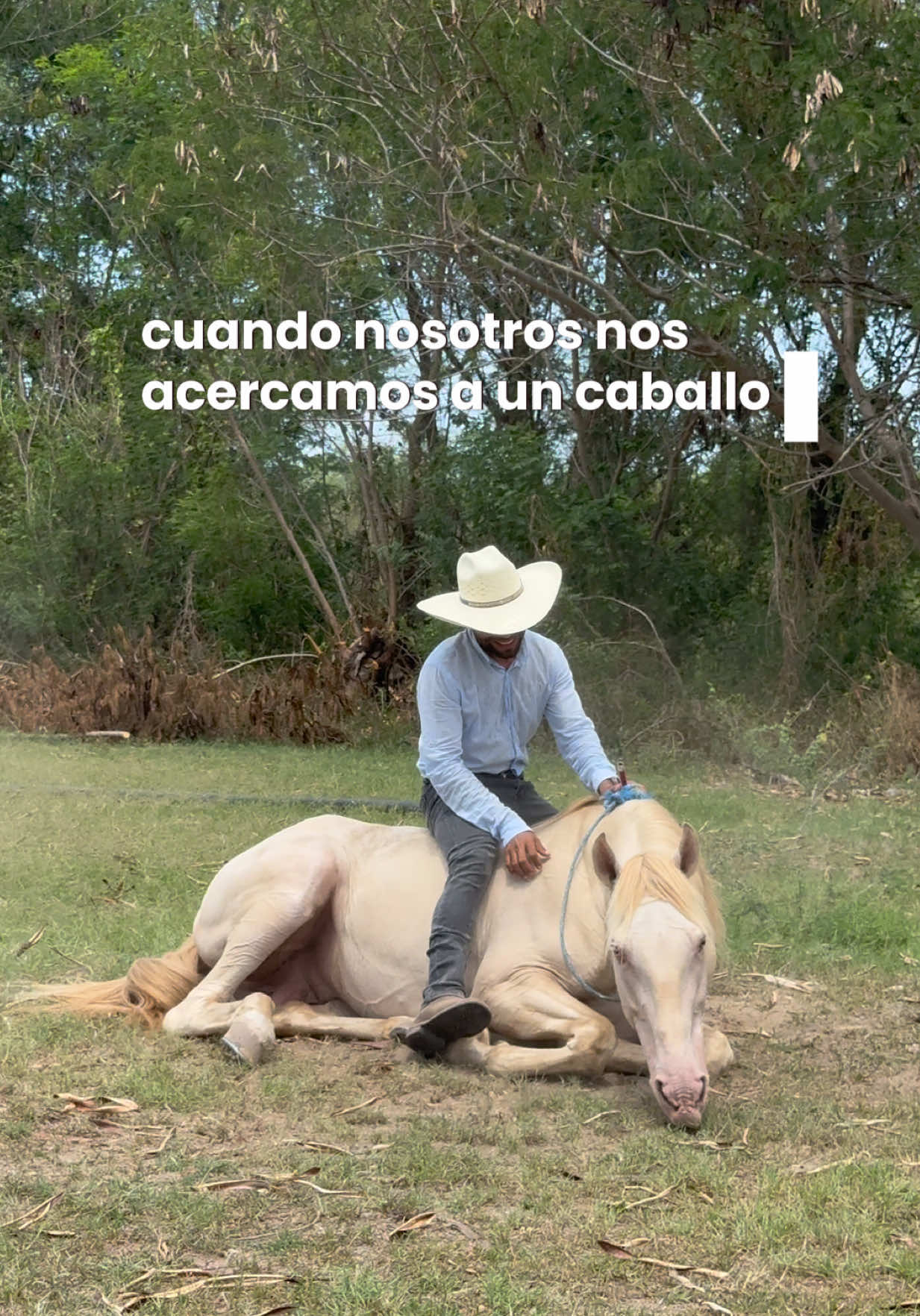 @reydelcaballo.gt