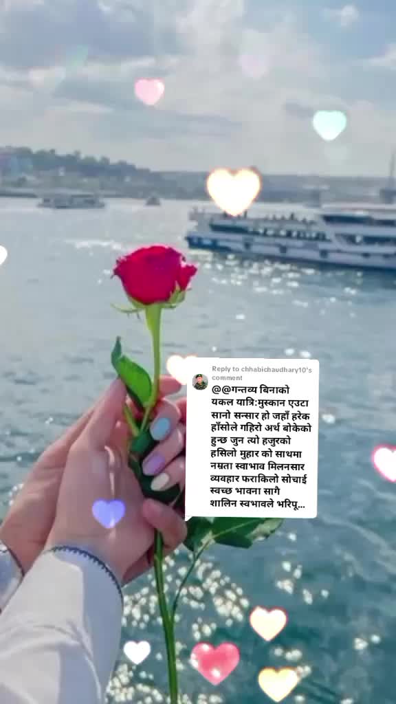 @Maya Maya