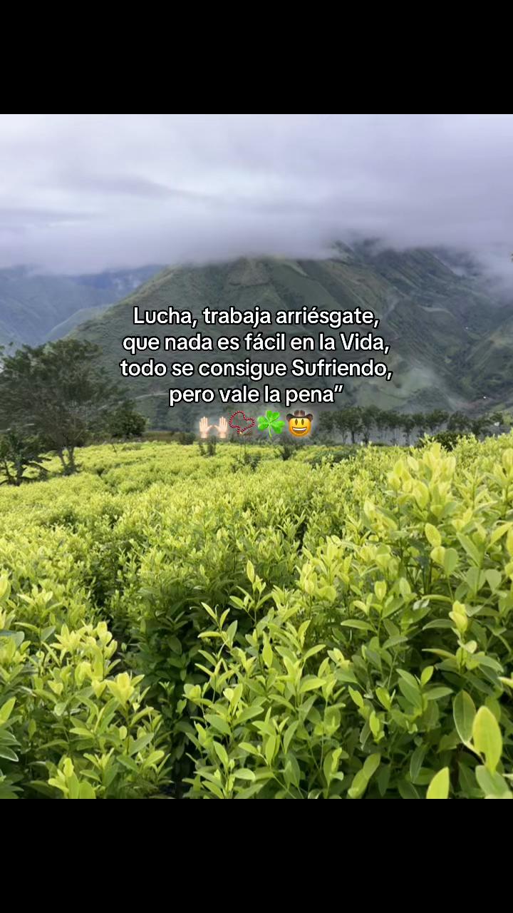 @彡[ʀᴏʟɪᴛᴀꜱ ツ࿐