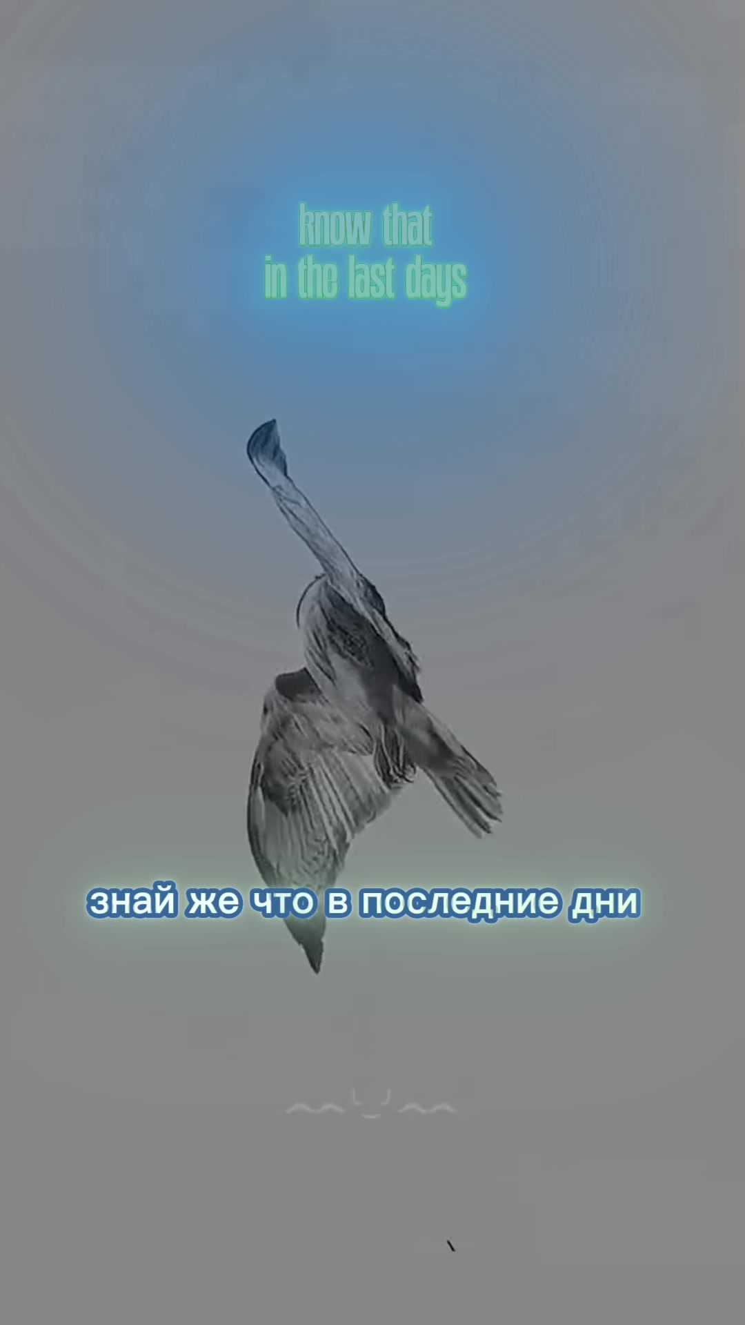 @КОЛЬЦА СОЗНАНИЯ