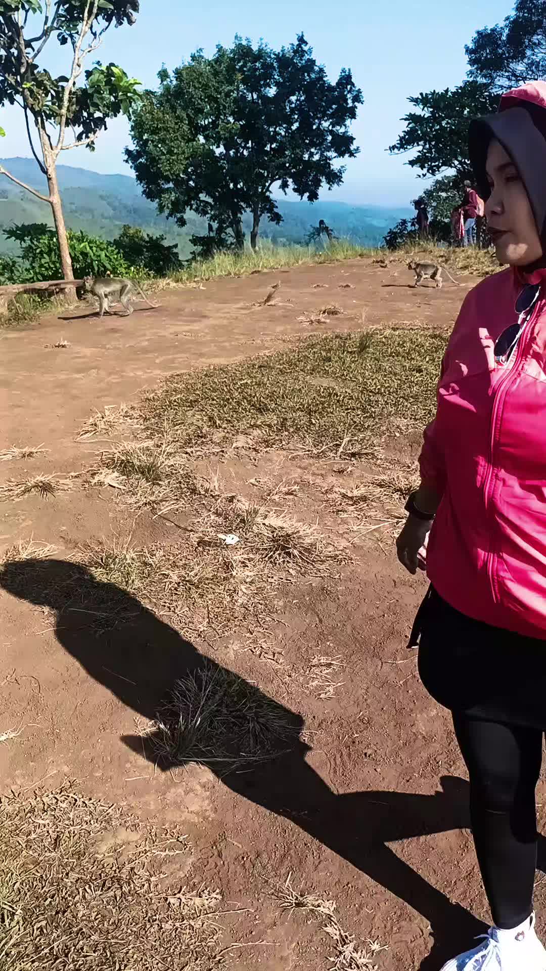 @shintaharsini