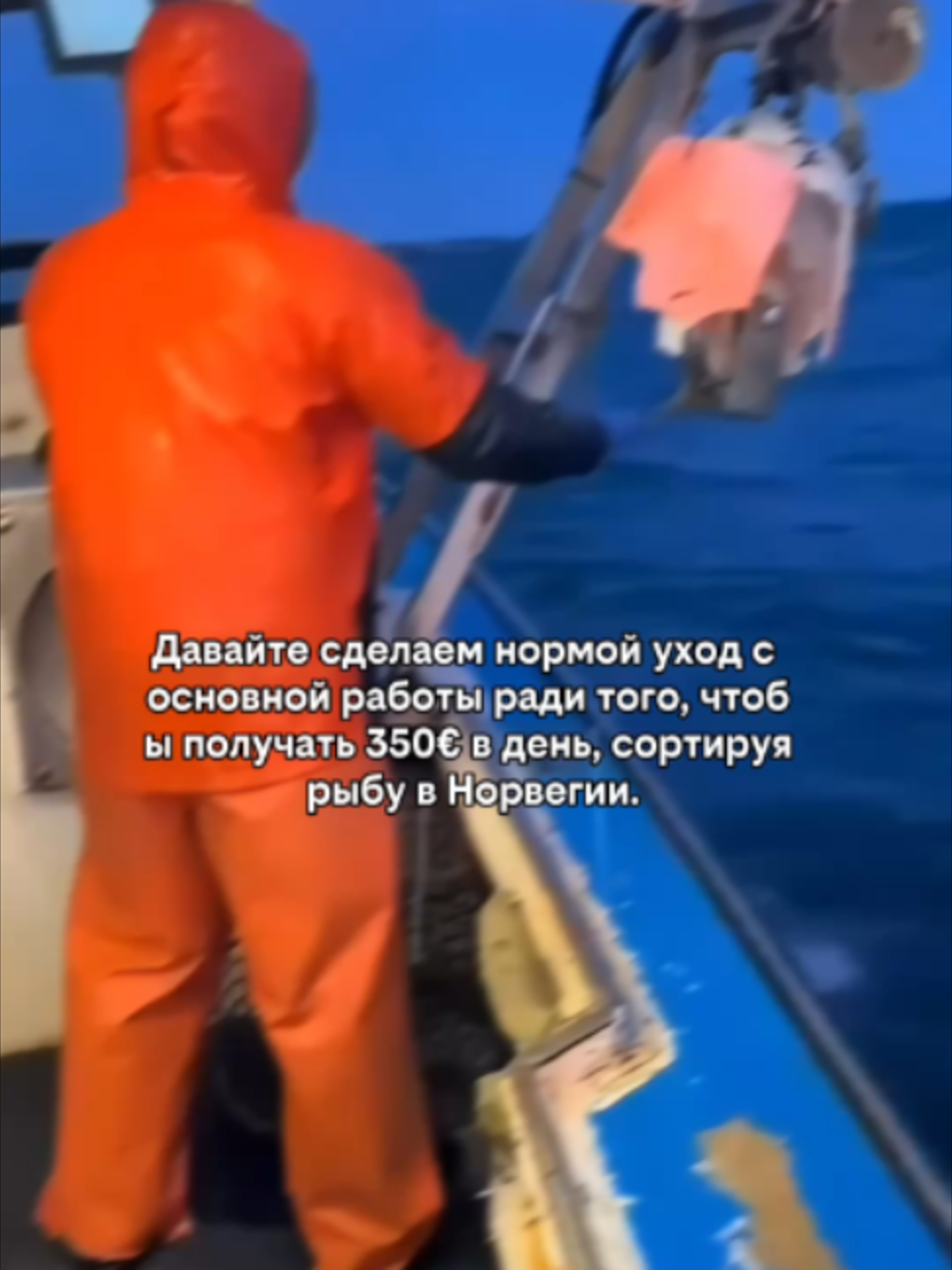 @Краболов Матковский Алексей