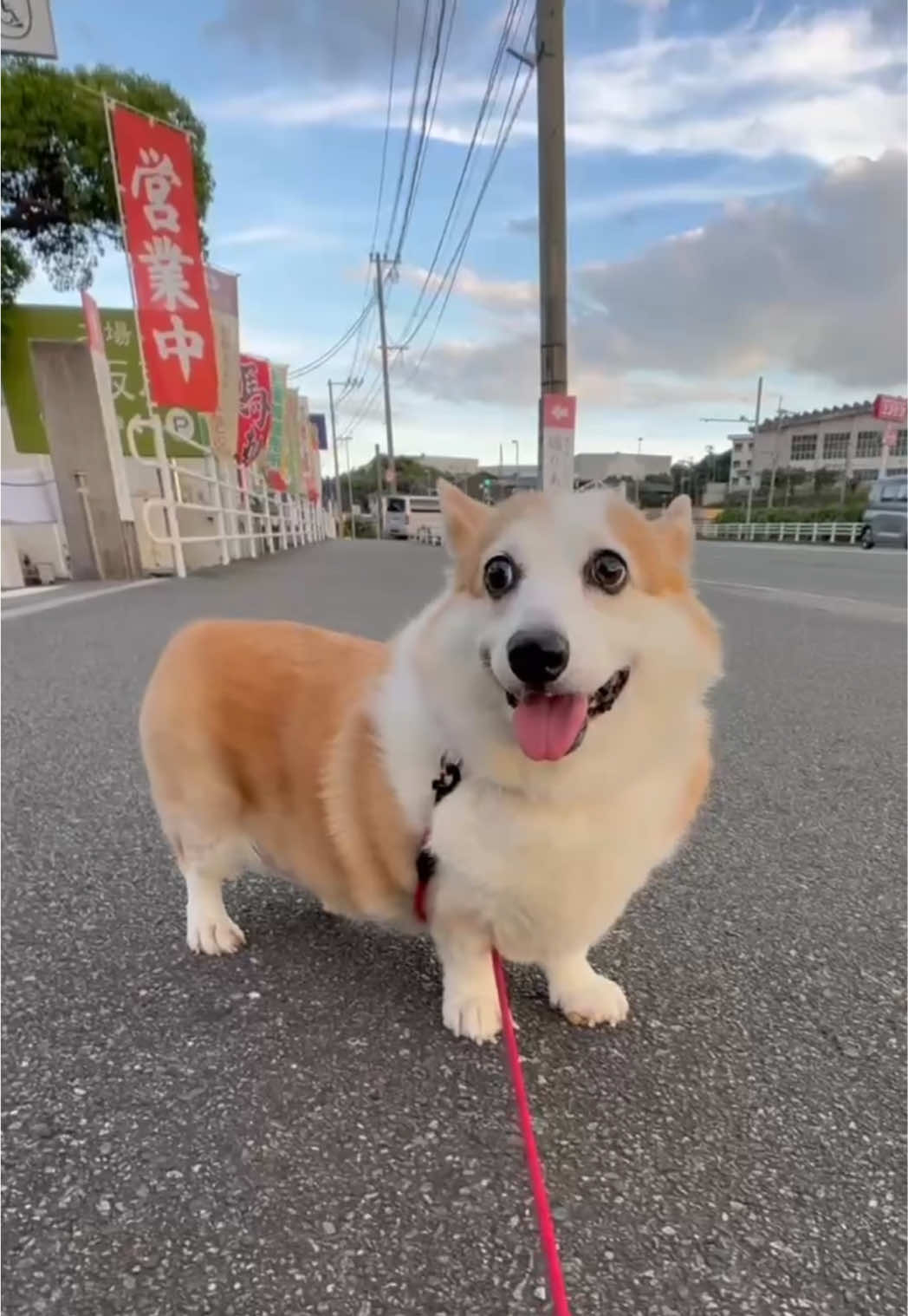 @マサくん