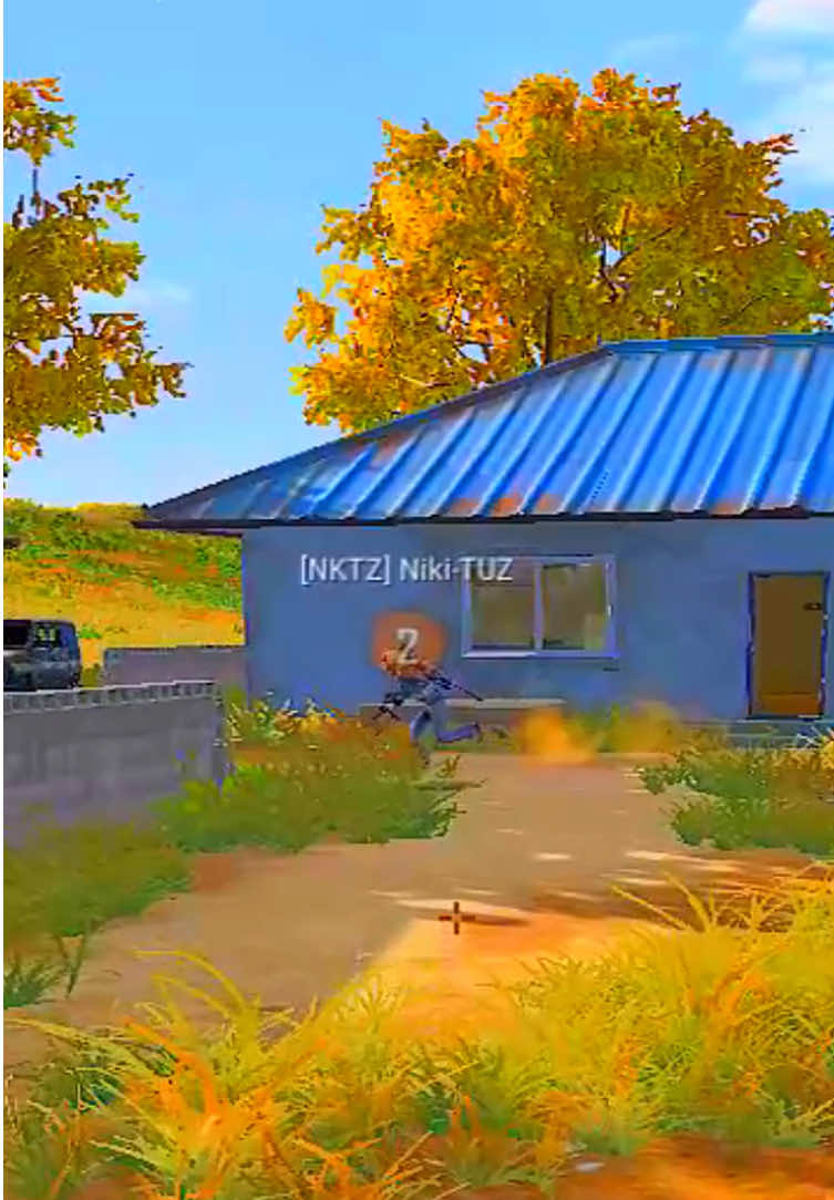 @Niki-TUZ | PUBG 🪖