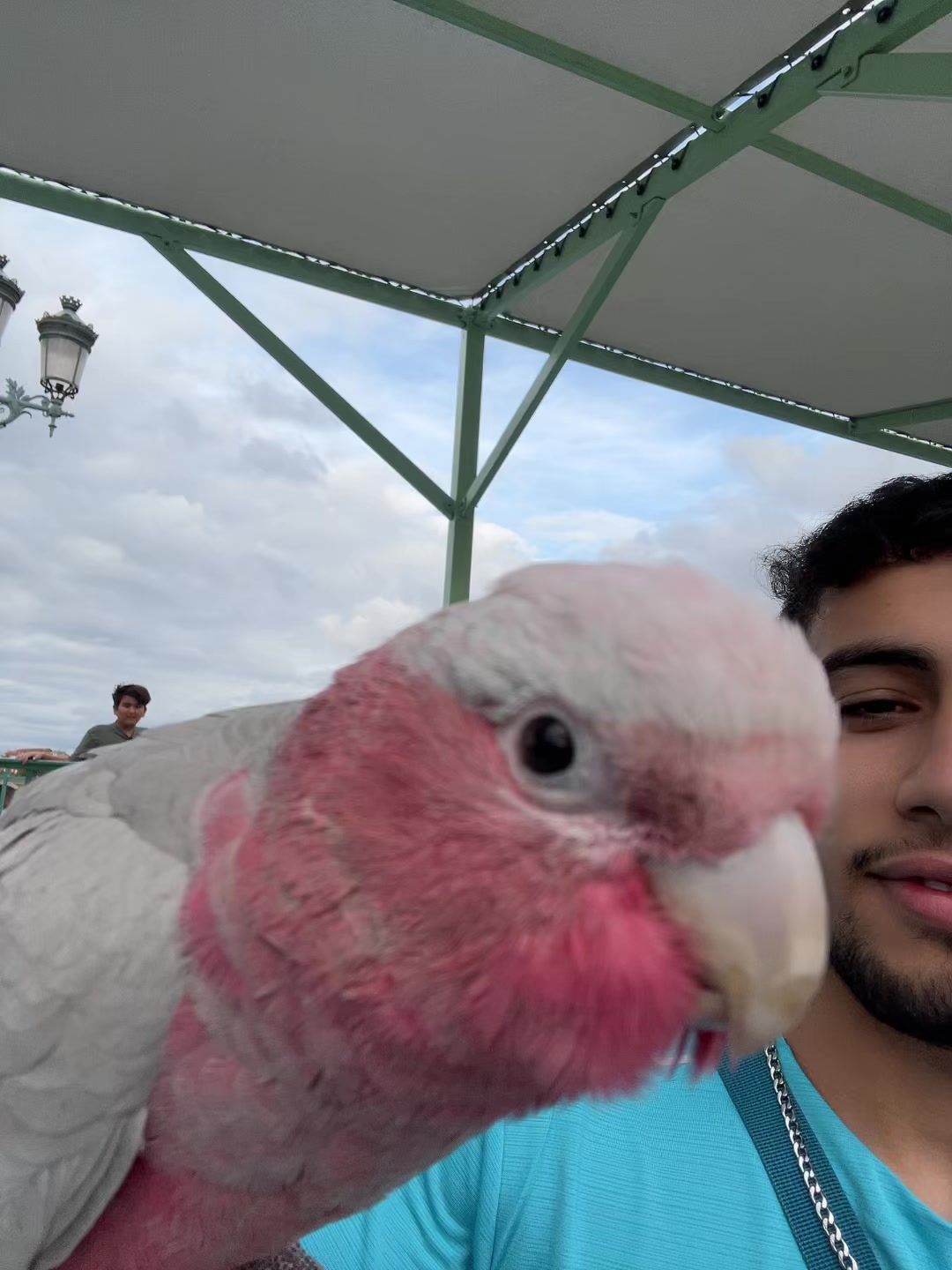 @🇫🇷 𝒞𝒽𝑜𝓂𝒾🇩🇿