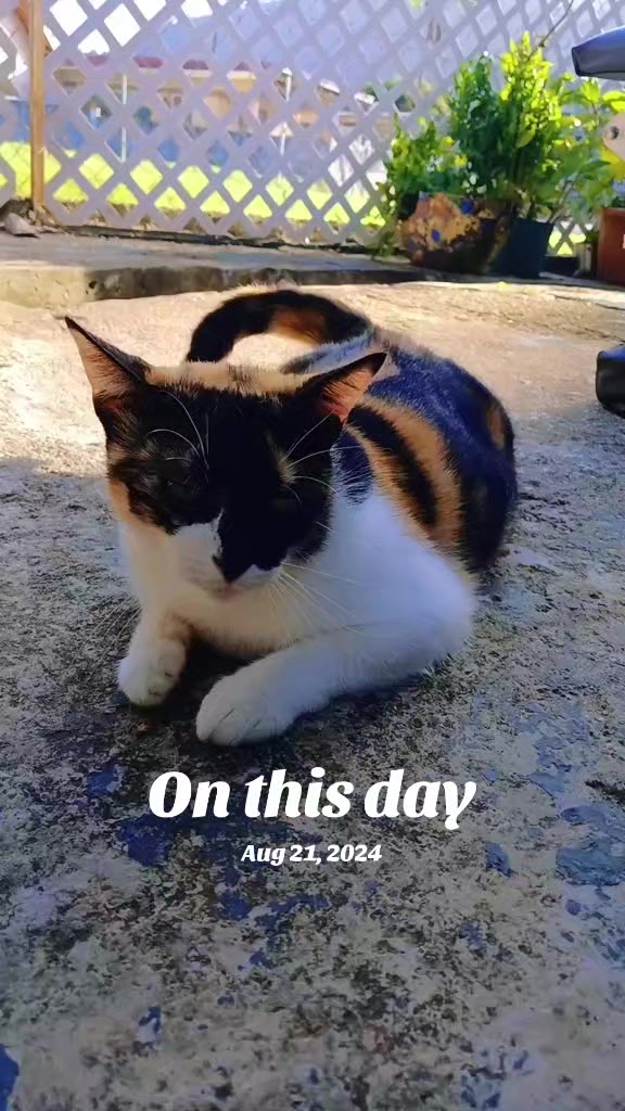 @Natasha The 🖤🇹🇹🌱🦄