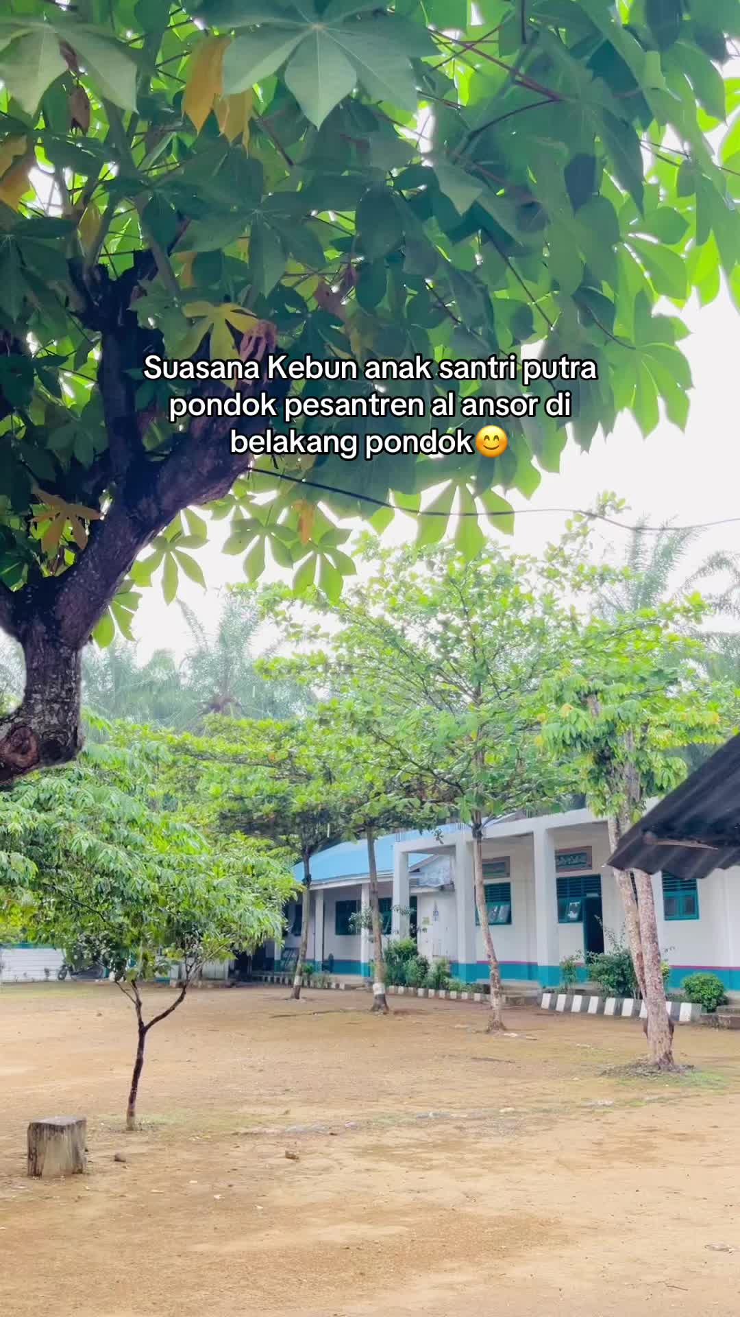 @Wafiq azizah Al ansor🤏🏻