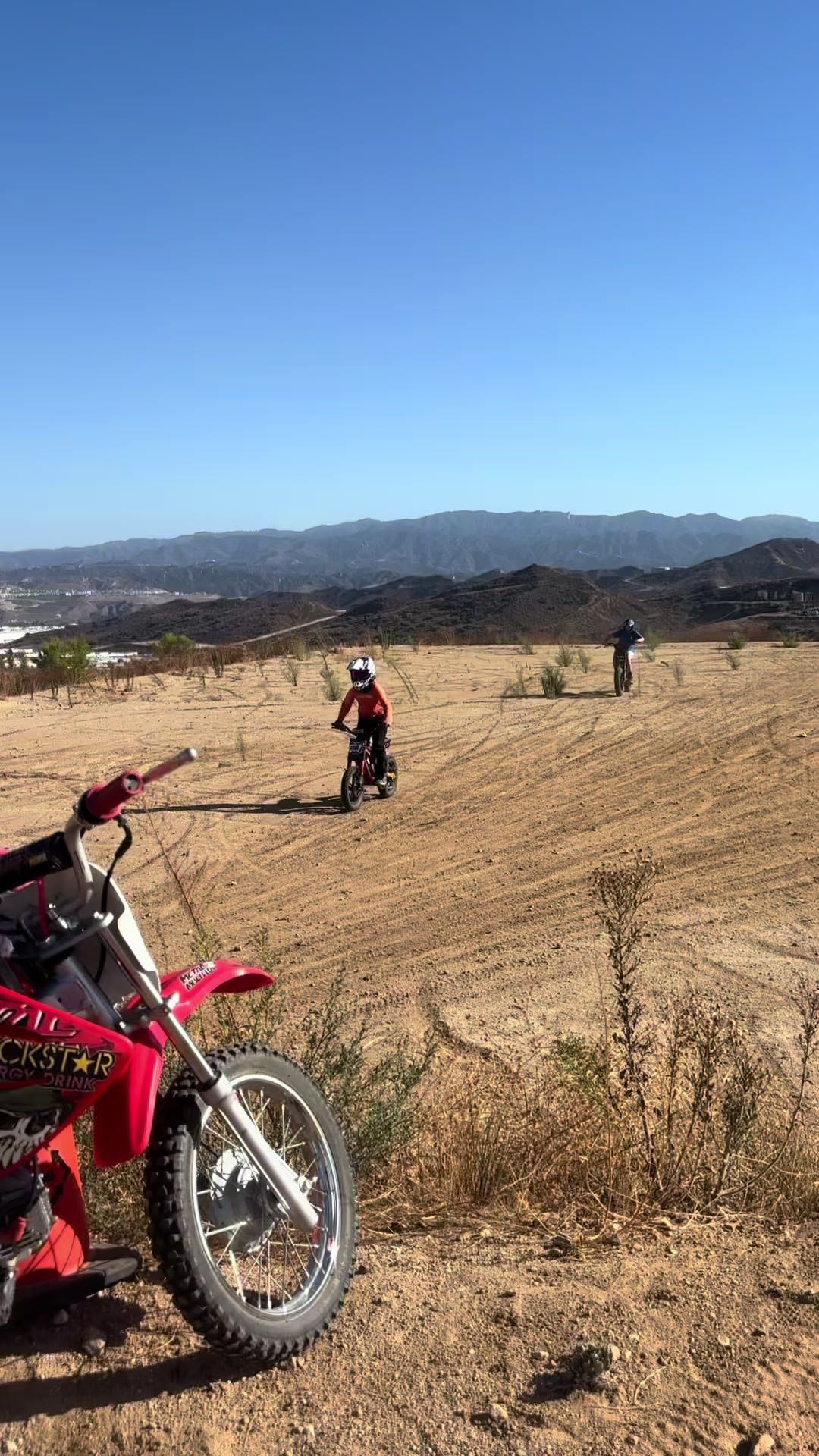 @🏍️Halle🐶