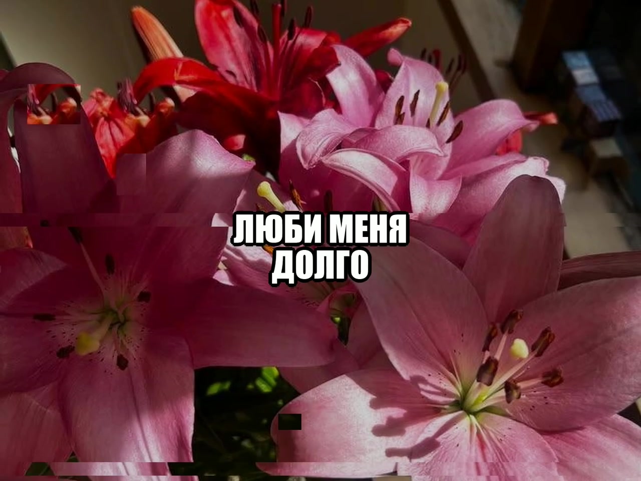 @звуки для липсингов