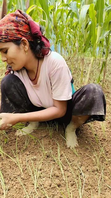 @Nawaraj Bhurtel