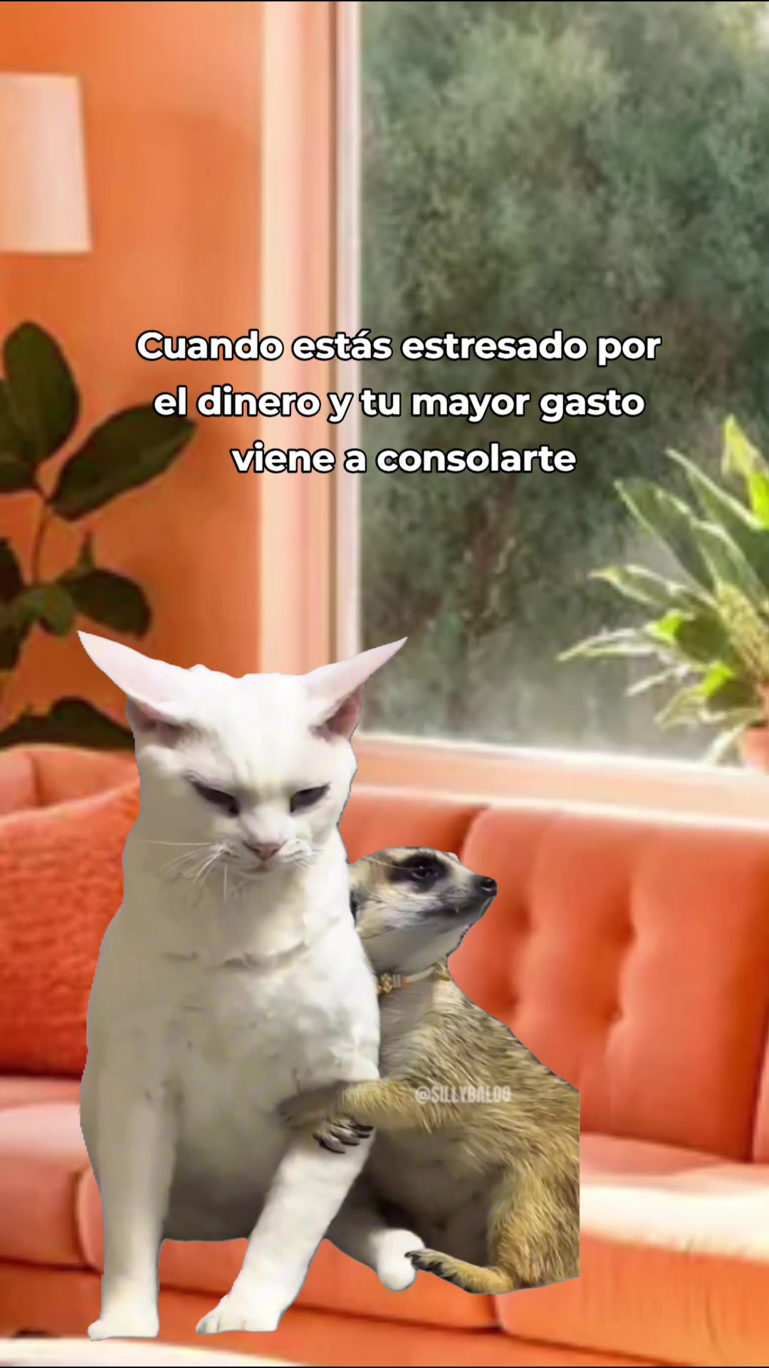 @_lu.g02 ✨️
