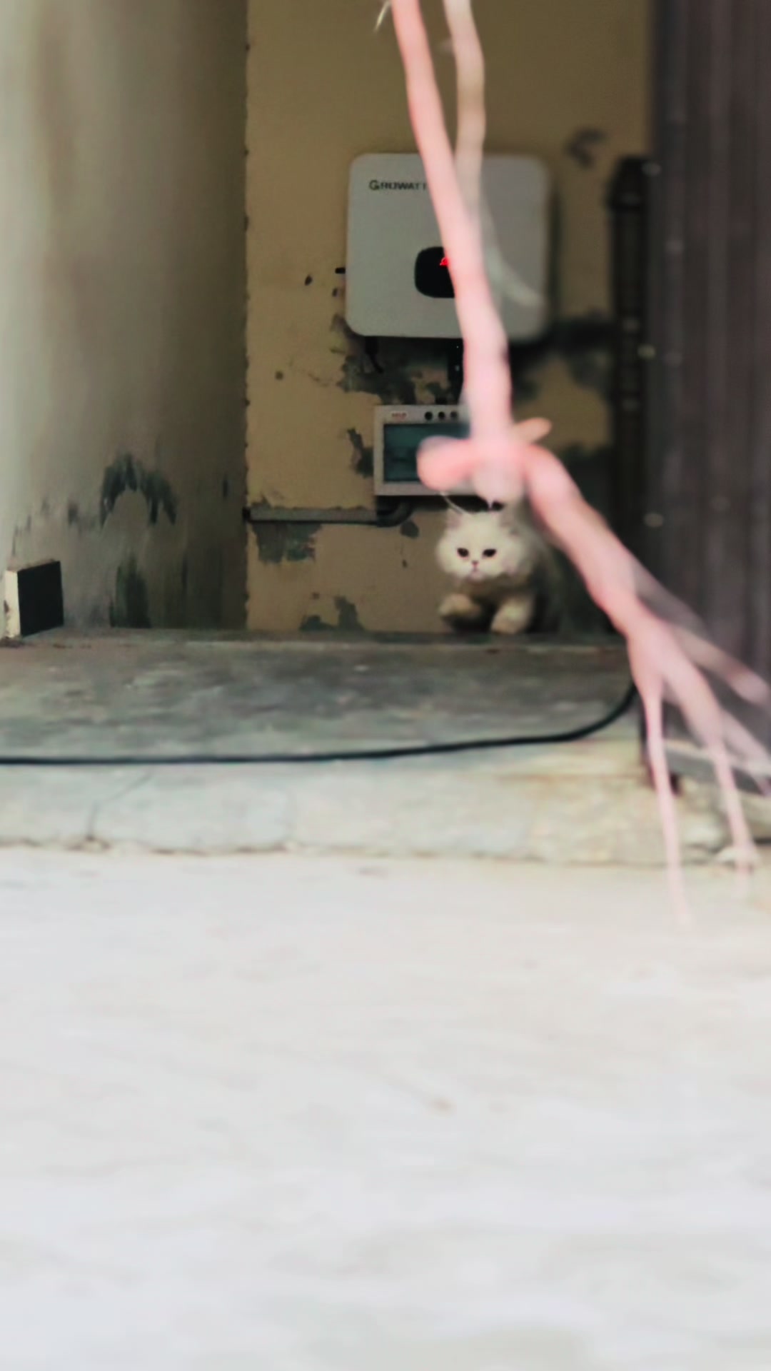@ู
๐ถ๐