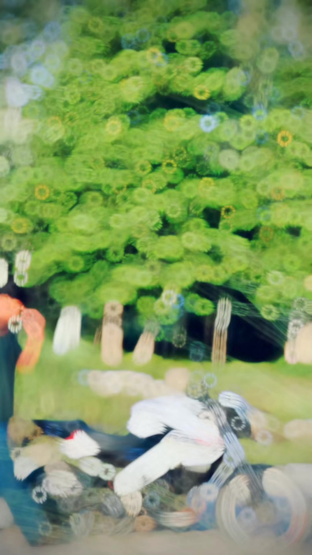 @๐_๐
๐๐_๐ ๐ ๐ ๐ ๐ ๐ชฝ