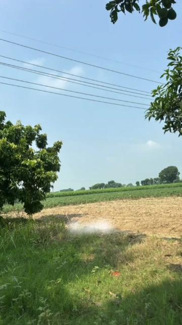 @ঝরা পাতা
