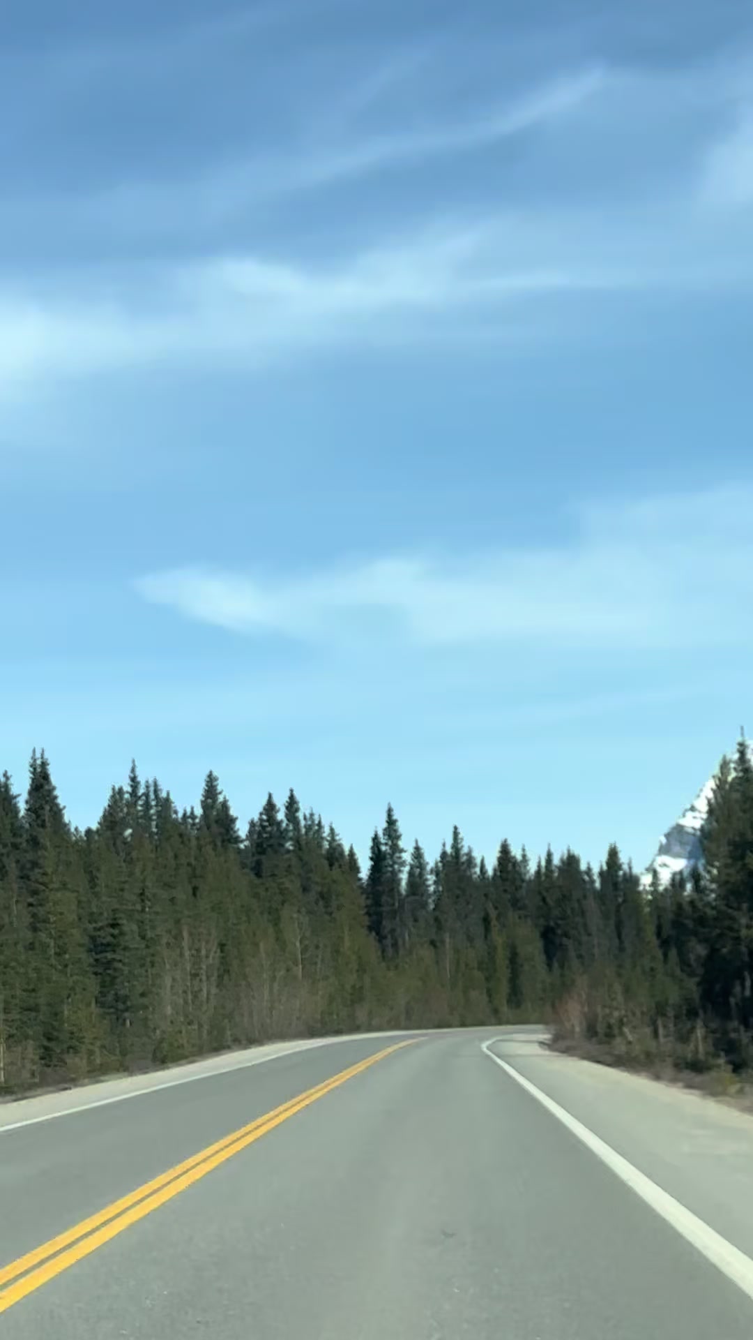 @Ada 🇨🇦
