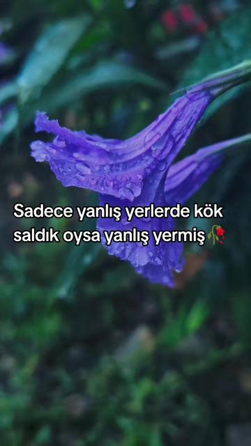 @☙❣️𝗕İ𝗭İ𝗠 𝗞𝗜𝗭 ❣️☙:
