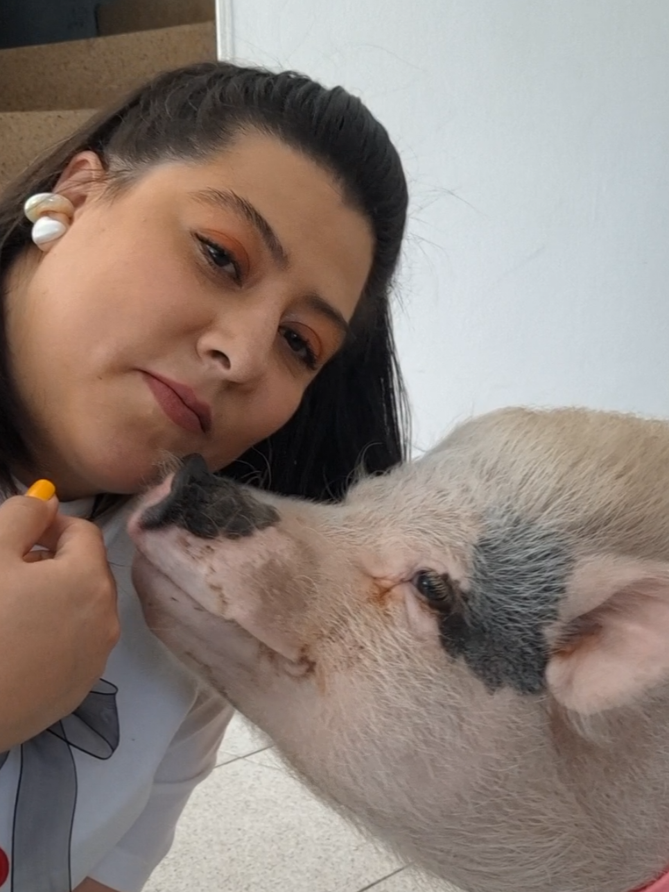 @🐷Ibi.pig🐷